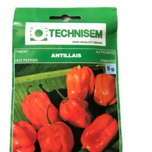 Home technisem f1 simbad sweet bell pepper seeds (green to red) 5g
