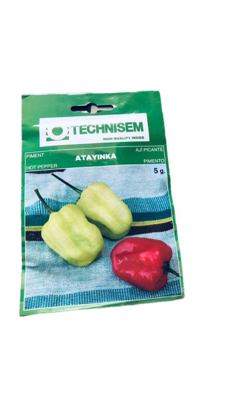 technisem f1 simbad sweet bell pepper seeds (green to red) 5g technisem f1 simbad sweet bell pepper seeds (green to red) 5g