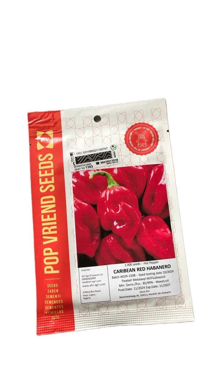 technisem f1 simbad sweet bell pepper seeds (green to red) 5g technisem f1 simbad sweet bell pepper seeds (green to red) 5g