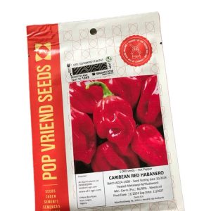 Home technisem f1 simbad sweet bell pepper seeds (green to red) 5g