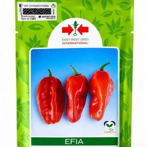 Home technisem f1 simbad sweet bell pepper seeds (green to red) 5g