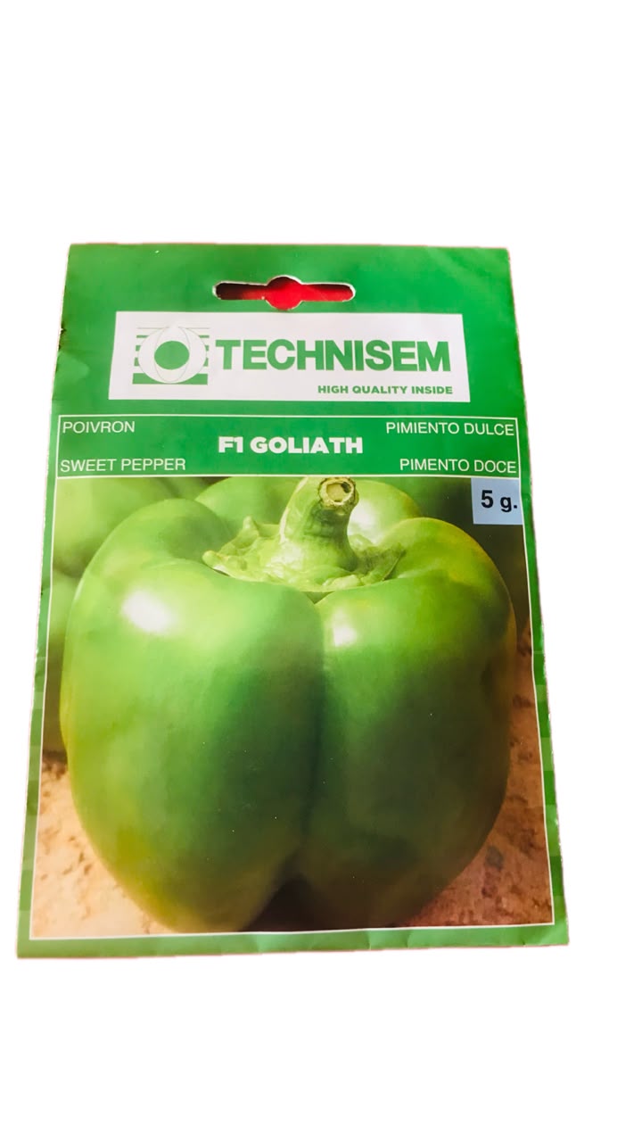 technisem f1 simbad sweet bell pepper seeds (green to red) 5g technisem f1 simbad sweet bell pepper seeds (green to red) 5g
