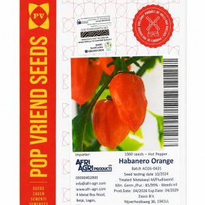 Home technisem f1 simbad sweet bell pepper seeds (green to red) 5g