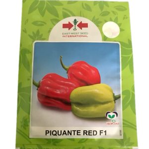 Home technisem f1 simbad sweet bell pepper seeds (green to red) 5g