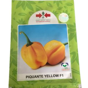 Home technisem f1 simbad sweet bell pepper seeds (green to red) 5g