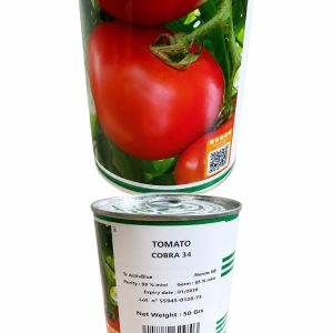 technisem cobra 34 tomato seeds (50g)