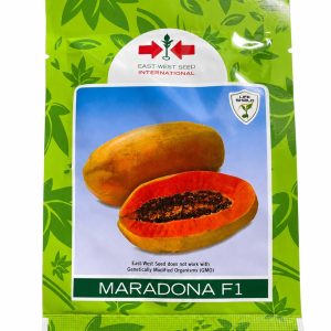 maradona f1 hybrid papaya seeds ( 109 seeds )
