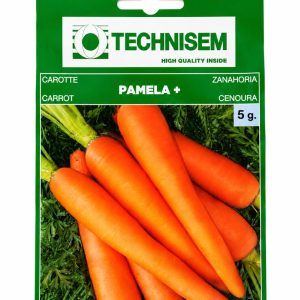 pamela+ carrot seeds (technisem)