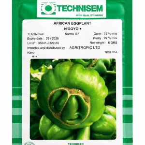 african eggplant (garden egg) – n’goyo+ technism ⸻