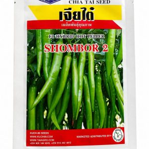 f1 hybrid hot pepper shombor 2 seeds (chia tai) ⸻