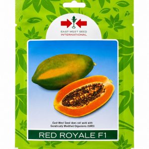 red royale f1 hybrid papaya seeds (100 seeds) ⸻
