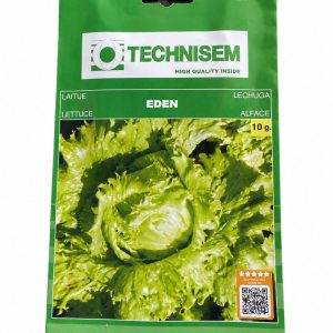 technisem eden lettuce seeds (10g) ⸻