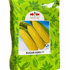 sugar king f1 sweet corn seed (250g) – east west seed international ⸻